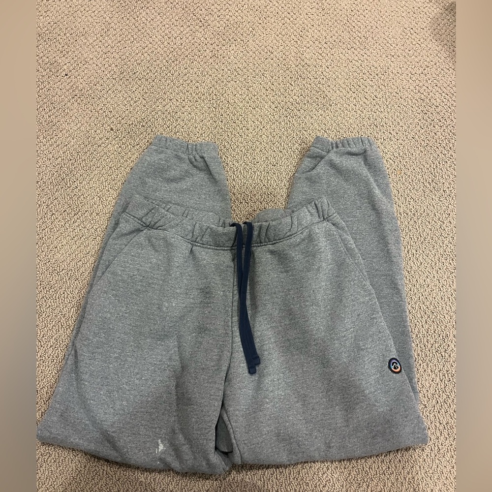 Patagonia gray sweatpants